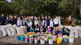 A Harvest of Goodness: Over 120,000 schoolchildren across the country gathered 800 tons of apples for the “Sad Nadezhdy” project