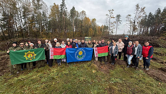 Give new life to forest!